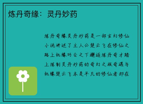 炼丹奇缘：灵丹妙药