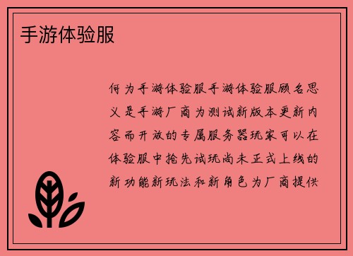 手游体验服